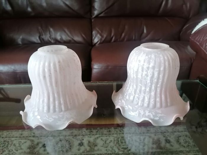 2 Small Lamp Shades