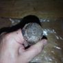 Old Vintage Chisel - Solid and sturdy Image 3