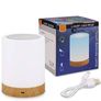 LED Night Light Touch Lamp Bedside Table Lamp for Kids Bedroom Rechargeable Dimmable Warm White Light + RGB Color Changing Image 6