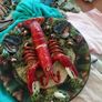 rare alvaro jose crab lobster wall plates Image 3