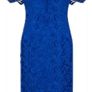 Louise Kennedy Lara Lace Dress Image 5