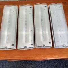 lights