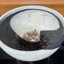 x10 Plastic pots / planters Image 3