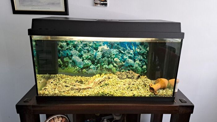 Juwel Aquarium for sale
