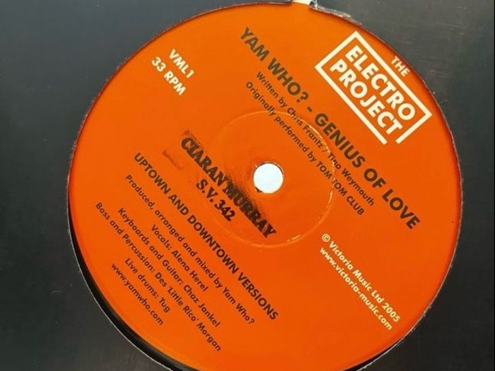 40 x 12" electronic vinyl