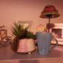 mixed succulent in ceramic pot Image 4