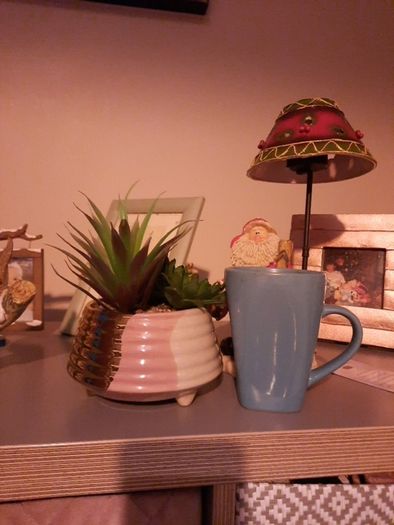 mixed succulent in ceramic pot