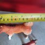 Vintage unknown maker Large hard rubber plastic 2 Collie Dogs Orange yellow white Image 2