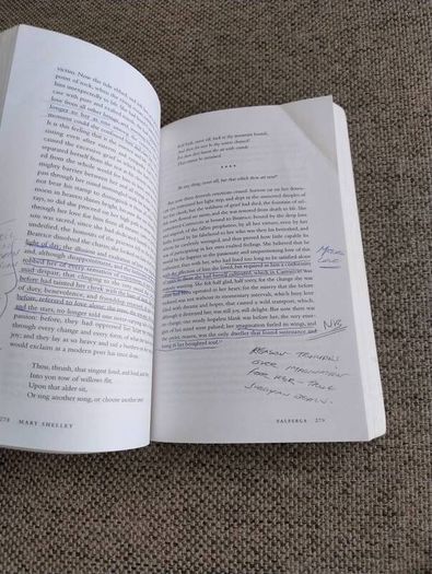 Valperga by Mary Shelley edited by Tilottama Rajan 1998 in good overall condition with some underlining and notes on some pages see photos FREE STANDARD POSTAGE INCLUDED