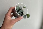 String of Hearts