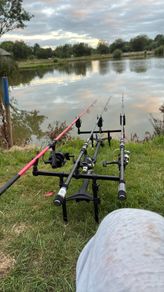 carp fishing