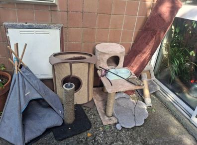 cat bundle