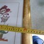 Framed Print Of Flower Still Life. Image 3