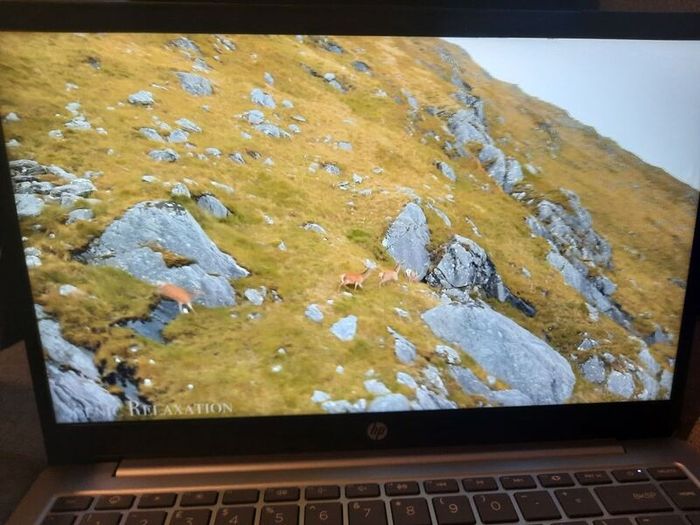 HP HDR laptop