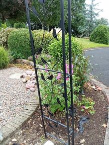 Metal decorative Garden Arch.Now Reduced