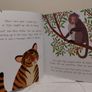 The Curious Tiger Story Book Image 6