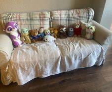 Teddies