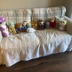 Teddies