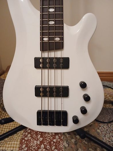 Bass Amp Effects Pedal looper
