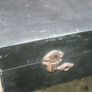Antique Wind up Gramophone Image 9
