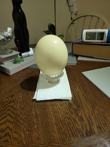 Ostrich egg