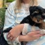 LOEWE jumper Image 2