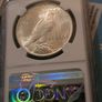 Mint State Peace Dollar Image 5