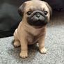 pug dog animal display toy Image 4