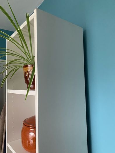 Ikea Billy Bookcase