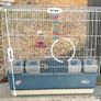 Cage Image 2
