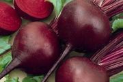(B) Beetroot Boro H seeds 2g (125265)