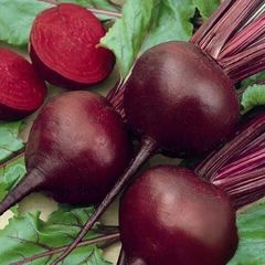 (B) Beetroot Boro H seeds 2g (125265)