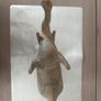 The sculpture is an antique figurine of an elephant Image 2
