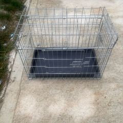 dog cage