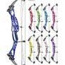 Archery Bow, Sport style compound 40-60 lbs, +3 arrows and bonus Image 7