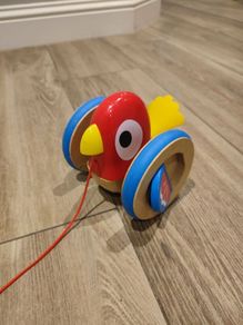 Baby pulling bird