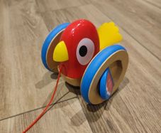 Baby pulling bird