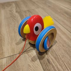 Baby pulling bird