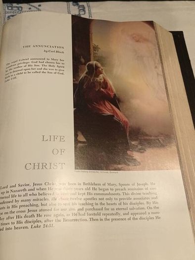 XL The New American Bible