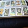 Very Large Collectors Folder of Old cigarette trade cards Tea Cards, Postage Available or collection Image 5