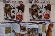 Discover Dinosaurs, Hardback Book