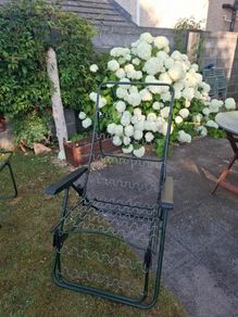 Two Sun Loungers Frames