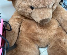 Soft toys free