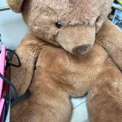 Soft toys free