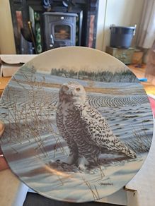 The Snowy Owl Plate 1989