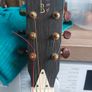 Antonio Pinto de Carvalho Acoustic Guitar Image 2