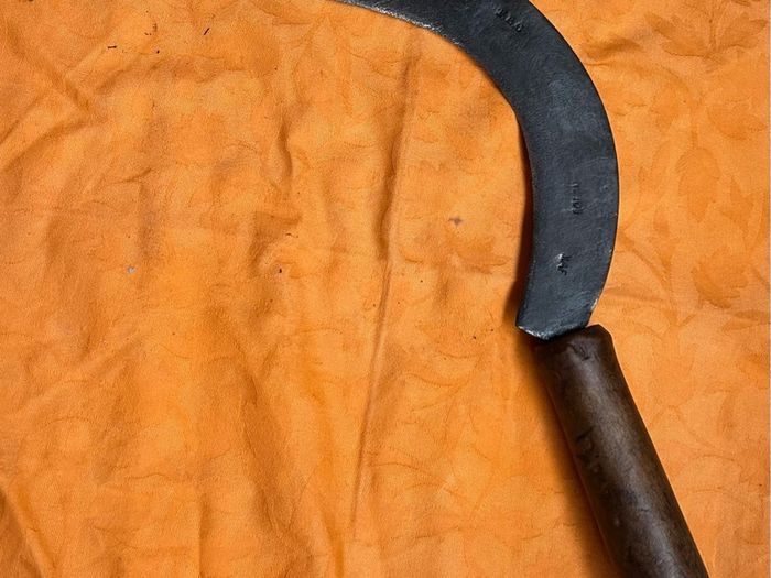Vintage  Agricultural Beet Hook