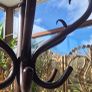 Bentwood Coat Stand Image 4