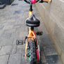 Ridgeback MX12 Image 4