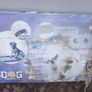 Slavic dog cage 76cm never used, box damaged Image 3